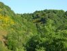 Dateiname=097 Weg nach O Cebrairo.jpg
Dateigröße=166KB
Abmessungen: 473x355
hinzugefügt am: 22. Juni 2005 097 Weg nach O Cebrairo.jpg