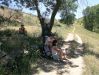 Dateiname=102 Jausenzeit bei 40 Grad.jpg
Dateigröße=182KB
Abmessungen: 473x355
hinzugefügt am: 22. Juni 2005 102 Jausenzeit bei 40 Grad.jpg