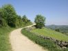 Dateiname=122 wunderschöner Weg nach Triacastela.jpg
Dateigröße=130KB
Abmessungen: 473x355
hinzugefügt am: 22. Juni 2005 122 wunderschöner Weg nach Triacastela.jpg