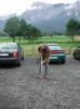Dateiname=21 Günther trainiert.jpg
Dateigröße=138KB
Abmessungen: 266x355
hinzugefügt am: 08. August 2005 21 Günther trainiert.jpg