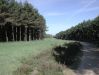 Dateiname=308 Weg.jpg
Dateigröße=138KB
Abmessungen: 473x355
hinzugefügt am: 22. Juni 2005 308 Weg.jpg