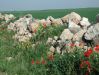 Dateiname=329 Farbe in der Meseta.jpg
Dateigröße=180KB
Abmessungen: 473x355
hinzugefügt am: 22. Juni 2005 329 Farbe in der Meseta.jpg