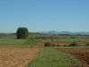 Dateiname=373 Meseta Gebirge im Norden.jpg
Dateigröße=103KB
Abmessungen: 473x355
hinzugefügt am: 22. Juni 2005 373 Meseta Gebirge im Norden.jpg