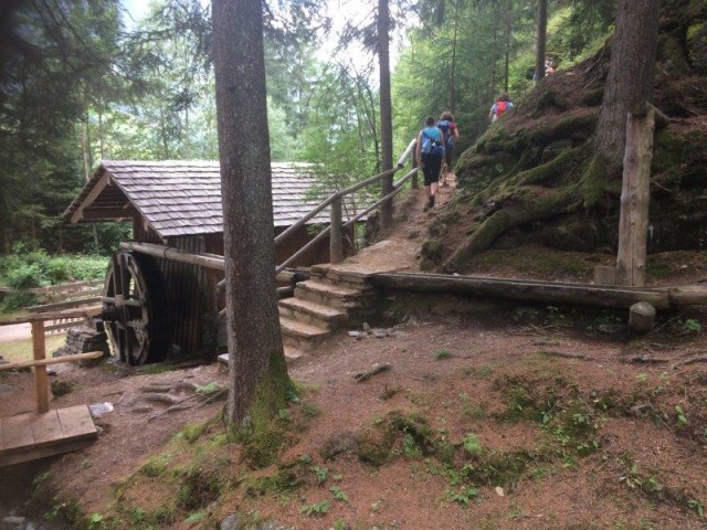 Klicken für Bild in voller Größe