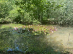 Dateiname=02~69.jpg
Dateigröße=105KB
Abmessungen: 640x480
hinzugefügt am: 10. Juli 2024 02~69.jpg