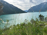 Dateiname=02~71.jpg
Dateigröße=179KB
Abmessungen: 640x480
hinzugefügt am: 14. Juli 2025 02~71.jpg