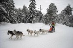 Dateiname=03_Hundeschlitten.jpg
Dateigröße=279KB
Abmessungen: 1020x680
hinzugefügt am: 17. Januar 2012 03_Hundeschlitten.jpg