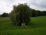 03_eine_der_vielen_Gedenkstätten.jpg