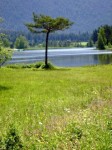 Dateiname=03~34.jpg
Dateigröße=45KB
Abmessungen: 360x480
hinzugefügt am: 12. Juli 2011 03~34.jpg