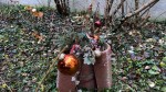 Dateiname=04_28229.jpg
Dateigröße=202KB
Abmessungen: 1024x576
hinzugefügt am: 27. Dezember 2020 04_28229.jpg