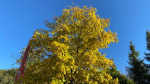 Dateiname=04~61.jpg
Dateigröße=114KB
Abmessungen: 640x360
hinzugefügt am: 21. Oktober 2021 04~61.jpg