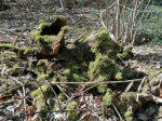 Dateiname=04~70.jpg
Dateigröße=190KB
Abmessungen: 640x480
hinzugefügt am: 24. April 2023 04~70.jpg