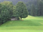 Dateiname=069_üppig___.jpg
Dateigröße=213KB
Abmessungen: 473x355
hinzugefügt am: 22. Oktober 2008 069_üppig___.jpg