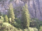 Dateiname=06_machtvolles_Karwendel.jpg
Dateigröße=236KB
Abmessungen: 473x355
hinzugefügt am: 23. Juni 2008 06_machtvolles_Karwendel.jpg