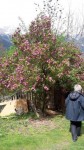 Dateiname=06~53.jpg
Dateigröße=44KB
Abmessungen: 270x480
hinzugefügt am: 20. April 2017 06~53.jpg
