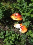 Dateiname=07~50.jpg
Dateigröße=59KB
Abmessungen: 450x600
hinzugefügt am: 04. August 2017 07~50.jpg