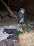 08_Bezaubernder_Wald_in_der_Tenne.jpg