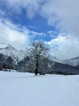 Dateiname=09~3.JPG
Dateigröße=96KB
Abmessungen: 480x640
hinzugefügt am: 21. Dezember 2017 09~3.JPG