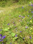 Dateiname=09~46.jpg
Dateigröße=93KB
Abmessungen: 450x600
hinzugefügt am: 04. August 2017 09~46.jpg