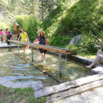 Dateiname=09~62.jpg
Dateigröße=197KB
Abmessungen: 640x640
hinzugefügt am: 20. Juli 2023 09~62.jpg