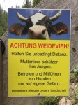 Dateiname=10~51.jpg
Dateigröße=56KB
Abmessungen: 450x600
hinzugefügt am: 14. September 2017 10~51.jpg