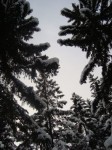 Dateiname=11~16.jpg
Dateigröße=64KB
Abmessungen: 266x355
hinzugefügt am: 20. Dezember 2009 11~16.jpg
