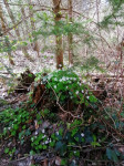 Dateiname=12~8.JPG
Dateigröße=175KB
Abmessungen: 480x640
hinzugefügt am: 24. April 2023 12~8.JPG