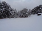 Dateiname=13~48.jpg
Dateigröße=61KB
Abmessungen: 800x600
hinzugefügt am: 21. Dezember 2017 13~48.jpg