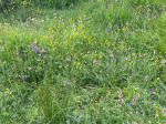 Dateiname=13~61.jpg
Dateigröße=222KB
Abmessungen: 640x480
hinzugefügt am: 04. Juli 2023 13~61.jpg