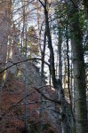Dateiname=151213-KFL-Adventausflug-14.jpg
Dateigröße=86KB
Abmessungen: 397x600
hinzugefügt am: 26. Dezember 2015 151213-KFL-Adventausflug-14.jpg