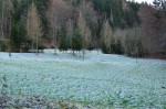 Dateiname=151213-KFL-Adventausflug-42.jpg
Dateigröße=112KB
Abmessungen: 800x529
hinzugefügt am: 26. Dezember 2015 151213-KFL-Adventausflug-42.jpg