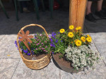 Dateiname=15~53.jpg
Dateigröße=128KB
Abmessungen: 800x600
hinzugefügt am: 21. Juni 2022 15~53.jpg