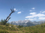 Dateiname=16~52.jpg
Dateigröße=80KB
Abmessungen: 800x600
hinzugefügt am: 21. Juni 2022 16~52.jpg