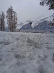 Dateiname=17_28229.jpg
Dateigröße=37KB
Abmessungen: 450x600
hinzugefügt am: 21. Dezember 2017 17_28229.jpg