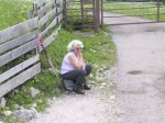 Dateiname=17_Monika_rastet_zufrieden.jpg
Dateigröße=220KB
Abmessungen: 473x355
hinzugefügt am: 24. Juli 2008 17_Monika_rastet_zufrieden.jpg