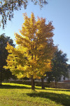 Dateiname=17~42.jpg
Dateigröße=283KB
Abmessungen: 873x1301
hinzugefügt am: 21. Oktober 2021 17~42.jpg