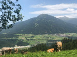 Dateiname=17~47.jpg
Dateigröße=102KB
Abmessungen: 800x600
hinzugefügt am: 21. Juni 2022 17~47.jpg