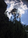 Dateiname=21~2.JPG
Dateigröße=121KB
Abmessungen: 480x640
hinzugefügt am: 22. Mai 2019 21~2.JPG