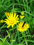 Dateiname=23~42.jpg
Dateigröße=116KB
Abmessungen: 260x340
hinzugefügt am: 21. Juli 2023 23~42.jpg