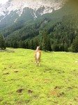 Dateiname=24~30.jpg
Dateigröße=78KB
Abmessungen: 450x600
hinzugefügt am: 14. September 2017 24~30.jpg