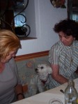 Dateiname=25_Unsere_Zwei_Tierliebhaberinnen_und_Shalo.jpg
Dateigröße=121KB
Abmessungen: 266x355
hinzugefügt am: 17. Juli 2008 25_Unsere_Zwei_Tierliebhaberinnen_und_Shalo.jpg