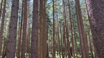 Dateiname=25~30.jpg
Dateigröße=84KB
Abmessungen: 640x360
hinzugefügt am: 12. Juni 2022 25~30.jpg