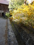 Dateiname=27~12.jpg
Dateigröße=66KB
Abmessungen: 266x355
hinzugefügt am: 04. Mai 2011 27~12.jpg