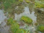 Dateiname=35_So_viel_Natur.jpg
Dateigröße=65KB
Abmessungen: 473x355
hinzugefügt am: 04. September 2009 35_So_viel_Natur.jpg