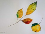 Dateiname=55.JPG
Dateigröße=88KB
Abmessungen: 1367x1046
hinzugefügt am: 28. Februar 2018 55.JPG