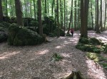 Dateiname=66.JPG
Dateigröße=197KB
Abmessungen: 640x480
hinzugefügt am: 22. Mai 2019 66.JPG