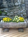 Dateiname=Blumen_im_Trog_Tribulaunhuette_i_T_.jpg
Dateigröße=76KB
Abmessungen: 450x600
hinzugefügt am: 21. Juli 2017 Blumen_im_Trog_Tribulaunhuette_i_T_.jpg