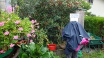 DSC05659.jpg