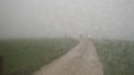 DSC05666.jpg