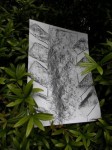 Dateiname=DSCI0141_28229.jpg
Dateigröße=36KB
Abmessungen: 360x480
hinzugefügt am: 28. Mai 2012 DSCI0141_28229.jpg